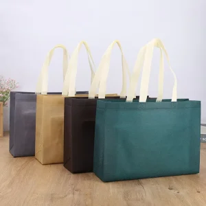 Bolsas Reutilizables Eco Friendly Supplier Tote Bags Custom Printed Recyclable Fabric Non Woven Shopping Bags with Logo