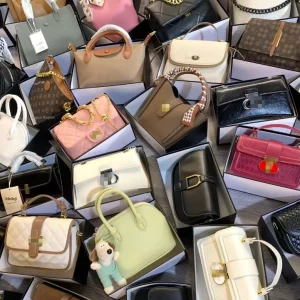 Brand New Women’s Bags Original Packaging Two Straps square Shape Bulk Shoulder Crossbody Bags Supply Foreign Trade