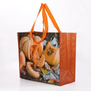 Certified High Quality Custom Design Reusable Shopping Bag Polypropylene Pp Fabric Laminated Full Printed Non Woven Bag