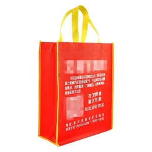 Custom Design Party Favors Multiple Uses Long Handle Foldable Portable Non woven Fabric Tote Bag for Gift