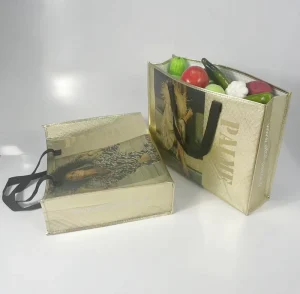 Custom Logo Printed Biodegradable Promotional PP Non Woven Tote Bags Shopping