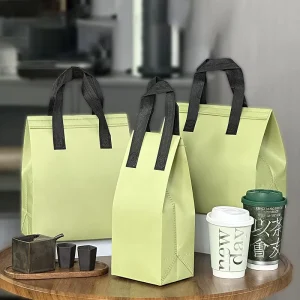 Custom Printed Disposable Non Woven Thermal Bag Custom logo Insulated Insulated Backpack Cooler Bag