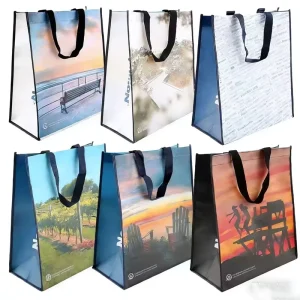 Custom Printed Strong Handle Polypropylene Bag Laminated Woven Tote Bag Market Carry Recycled PP Woven Shopping Bag