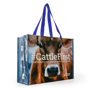 Custom Reusable Grocery Personalized Eco Friendly Non Woven Handled Shopping PP 120gsm 140gsm PP Woven Tote Bag