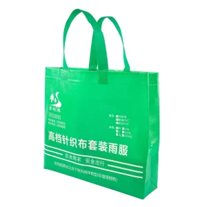 Customized Huge Nonwoven Shopping Bag with Logo Recyclable Heavy Duty for Supermarket & Exhibition Use
