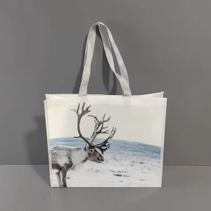 Eco Friendly Custom Printed Recycle Reusable PP Laminated Non Woven Tote Shopping Bags Sunshine Model 2026001