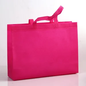 Eco Friendly Customized Reusable Gift Tote Recycled Pp Non Woven Shopping Bag for Promotion education