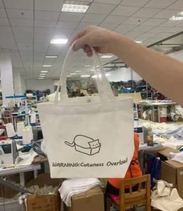High Quality Custom Eco-Friendly Cotton Tote Bags Reusable and Logo Printed Free Shipping on Fabric Shopper