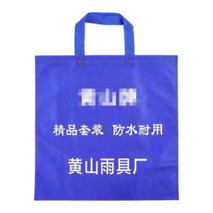 Personalized Customized Lightweight Shopping Bag Foldable Non Woven Bag