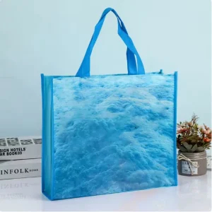 Portable Non woven Fabric Bags with Custom Small batch logo Printing and Patterned Clothing Gifts Shopping Promotional Bags