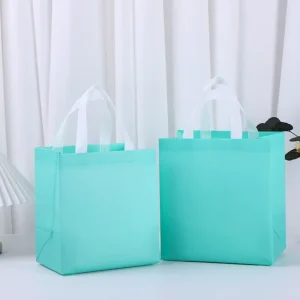 Recyclable Eco-Friendly Food Grade Reusable Non Woven Polypropylene Bag Custom Logo Shoulder Handle Gravure Cookie Pizza