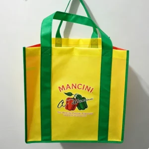 Retail Store Tote Bags Custom Printed Logo Long Handle Nonwoven Eco-Friendly Biodegradable Supermarket Packing Bags