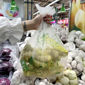 Compostable Biodegradable Produce Bags Eco Friendly Customizable Fruit & Vegetable Packaging