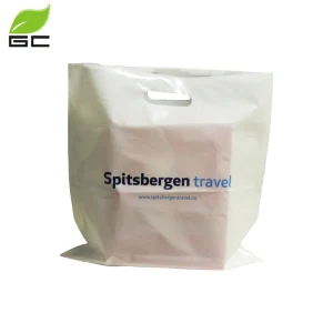Custom Logo Heat Seal Resealable Plastic Bag with Die Cut Handle Durable LDPE Shopping Bag for Packaging & Clothing
