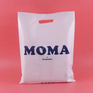 Custom Logo Printed Plastic Shopping Bags Die Cut Handle Retail Boutique Clothing Packaging Bags