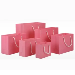 Custom Printed Logo Colorful Clothing Gift Shopping Packing Cardboard Paper Bags with Ribbon Handles