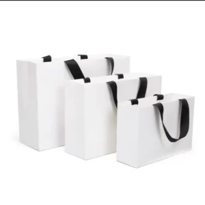 Customized Designer Logo Printed Shopping Paper Bag Luxury Packaging Paper Bags for Gift Wrapping