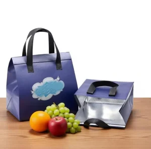 Disposable Lunch Bags for Food Takeaways