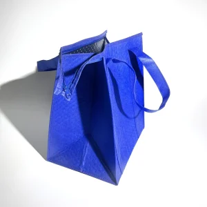Disposable Non Woven Insulated Lunch & Ice Cream Delivery Cooler Bag for Shopping