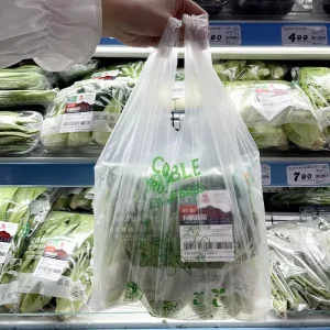 Eco Friendly Compostable T Shirt Produce Bags Custom Size Flat Bottom Roll Bags for Fruits Veggies