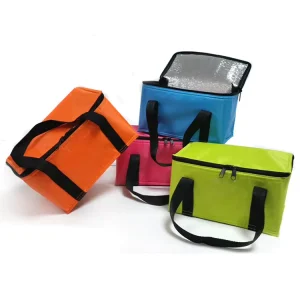 Eco Friendly Durable Insulated Portable Adult 2 Persons Lunch Bag PEVA Lining Zipper Cotton Linen Oxford Fabric