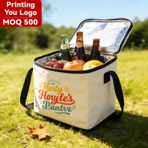 Eco Friendly Insulated Cooler Bag Thermal Printed Zipper Reusable Picnic Grocery Lunch Food Packaging Keeps Warm Cool