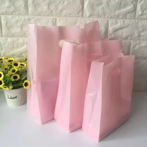 Fashion PE Plastic Resealable Shopping Bag with Sturdy Die Cut Handle for Clothing Packaging