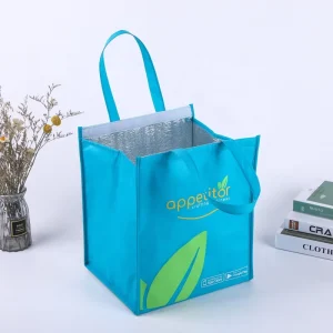 Fashionable Insulated Thermal Lunch Cooler Bag with Custom Logo for Food Delivery Featuring Solar Panel