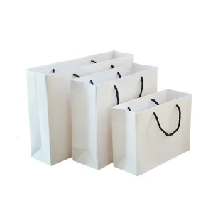 Logo Printed Retail Paper Shopping Bag with Handle for Shopping Packaging