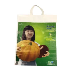 PE Eco Friendly Transparent Handbag Clear Shrink Bags Handle Offset Printing Secure Surface Gifts Promotions Made PE PET