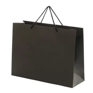 Paper Shopping Bags for Clothes Supermarket Promotion for the Shoes and Clothing Store