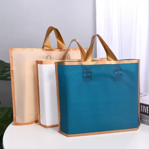 Plastic Custom Logo Clothes Shopping Bag with Loop Handle
