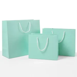 Shopping Craft Paper Bags for Food