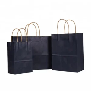 Shopping Paper Bags Luxury Packaging Paper Shopping Bag Kraft Paper Bag with Handle