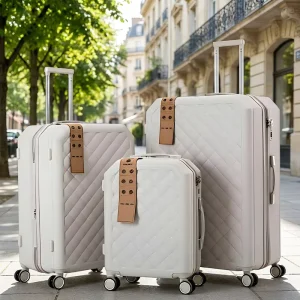 Spinner Travel Luggage Set Hard Shell Carryon Lightweight 4 Wheels Luggage Set